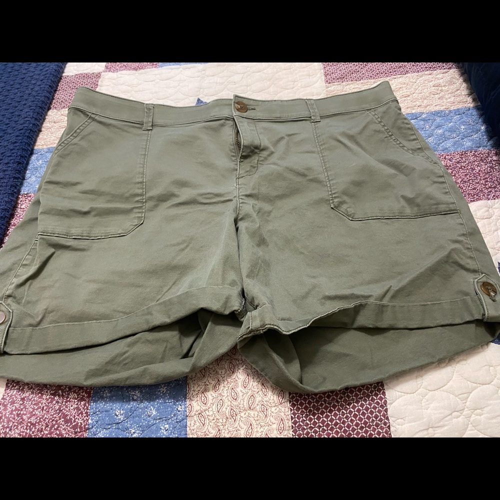 Lane Bryant Shorts
